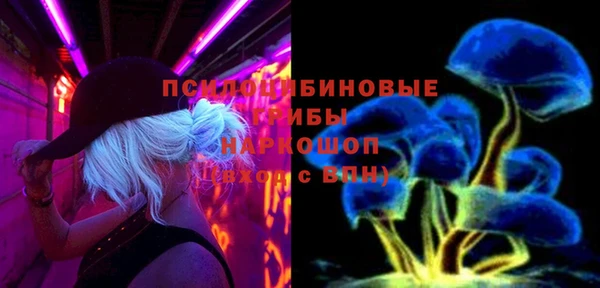 тгк Абаза