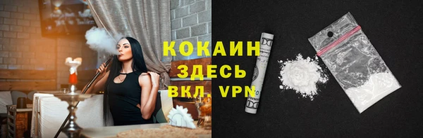 тгк Абаза
