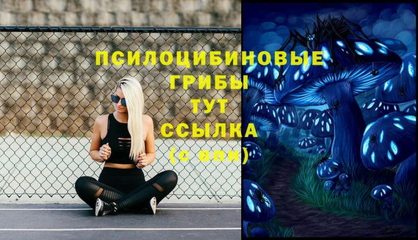 Альфа ПВП Абдулино
