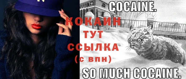 тгк Абаза
