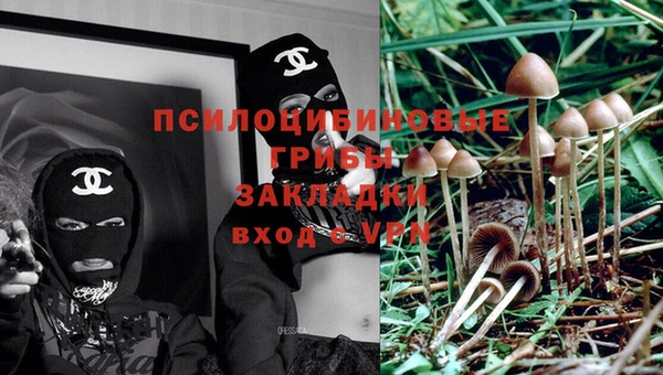 тгк Абаза