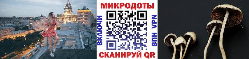 блэк спрут ссылки  Химки  Псилоцибиновые грибы Psilocybine cubensis 